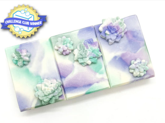 NEW 5.2 oz Watercolor Succulent Artisanal Face and Body Soap